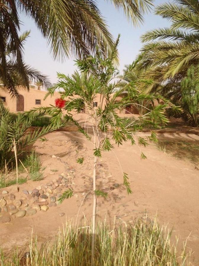 Chez Madani Hotel M'Hamid Kültér fotó